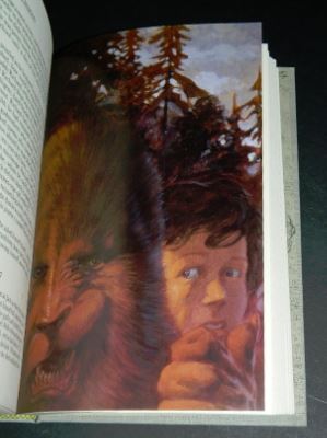 The Talisman1 illustration