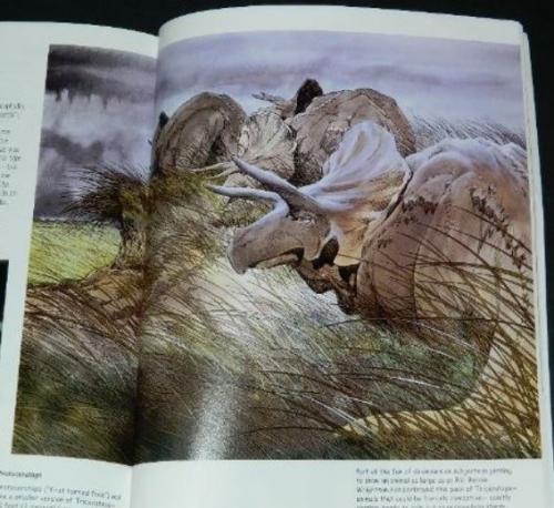 Dinosaurs How to DrawIllustration