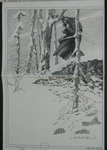 CFA-APA #26Pull out poster