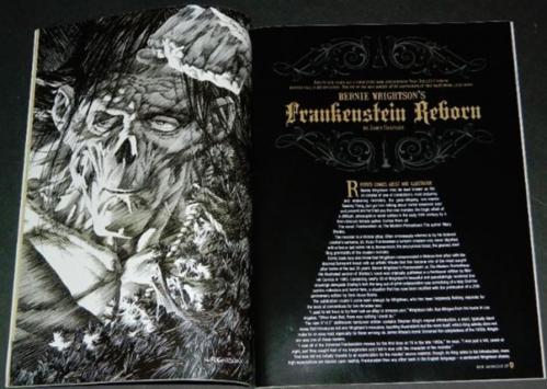 Rue Morgue #85New Frankenstein book article