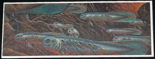 Meltification card made by Glimmer Graphic for catalog