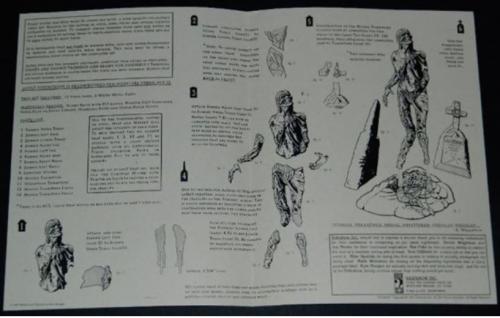 I'm Back modelassembly sheet