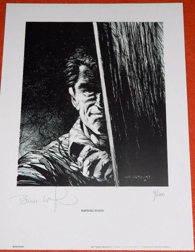 The Stand Limited Edition#9/1200print #13